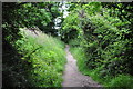 Torridge : Footpath