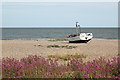 Beach with red valerian and abandoned boat, Aldeburgh