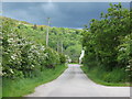 Entry  road  onto  Mersehead  RSPB  Reserve