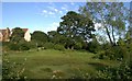 Grass, flowers and trees in Priddy