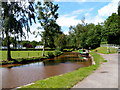 Canal west of bridge 132, Llangynidr