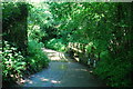 Bullhill Brook Ford