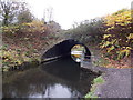 Unusual tunnel-like bridge, Tennant Canal, Neath Abbey