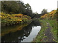 Canalside late autumn colours, Neath Abbey