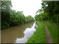 Bedworth, Coventry Canal