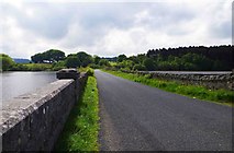O2005 : The L5054 road crossing the upper Vartry Reservoir, Co. Wicklow by P L Chadwick