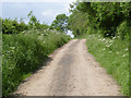 Cutlersforth Lane