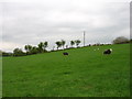 NY0618 : Farmland near Kirkland School by David Purchase