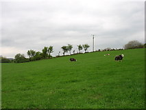 NY0618 : Farmland near Kirkland School by David Purchase