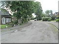 Lyme Chase - looking towards York Road