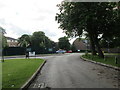 Oak Tree Lane - viewed from Chestnut Lane