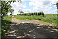 Lane becomes a track, west of Humby