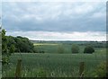 Site of Oxcroft Colliery seen from Disused Railway