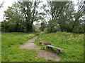 Bench in Alderman Road recreation ground