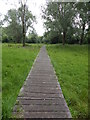 Wooden path in Alderman Road recreation ground