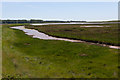 Marshes beside Butley River