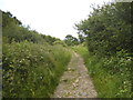 Path from Mill Hill to Woodside Park