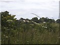 View across the fields, Woodside Park