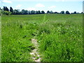 Footpath to Ide Hill