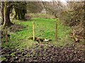 ST4301 : Fence, Lewesdon Hill by Derek Harper