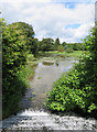 SE8675 : Low Fish Pond, Scampston by Pauline E
