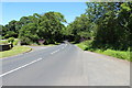 Road to Maybole at the Kennels