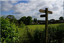 SE9222 : Path leading to All Saints Church, Winteringham by Ian S