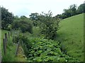 Hoo Brook near Butterton