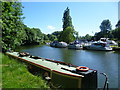 Allington Marina