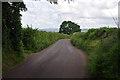 Taunton Deane District : Country Lane