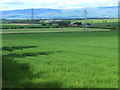 Fields near Clifton Dykes