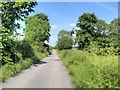 Looking East Along The Avenue near Astley Green