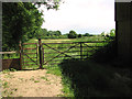 Footpath to Hockering Wood from Lodge Farm