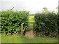 Footbridge and stile on the footpath to Little Gringley