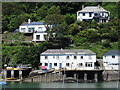 Newton and Noss: houses overlooking Newton Creek