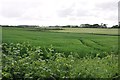 Taunton Deane District : Grassy Field