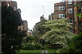 View of apartments in Old Brompton Road from Bina Gardens East