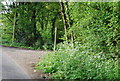 Footpath signpost, Littleworth Lane