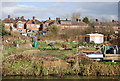 Allotments by the canal