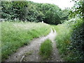 Path on Banstead Downs by Downs Road