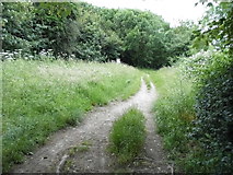 TQ2661 : Path on Banstead Downs by Downs Road by David Howard