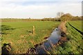 A drain between fields