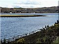 NM9334 : Kilmaronag Islands, Loch Etive by David Dixon