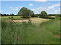 Fields near Lydling Farm