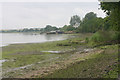 Muddy foreshore of River Stour west of Shotley Gate