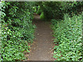 Footpath by Sand Martins golf course