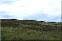 SE7190 : Moorland near Hutton-le-Hole by JThomas