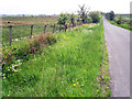 Roadside verge south of Blackpool Gate