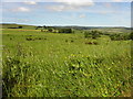 Ballymongan Townland