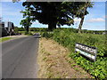 Tullycar Road, Aghyaran